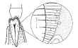FIG 1.JPG (45939 bytes)